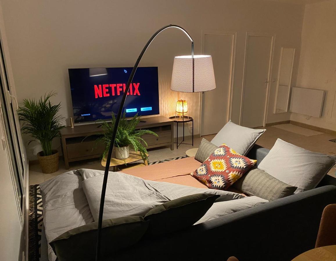 Appartement 2 Pieces De 44M² En Centre Ville マニー・レ・ザモー エクステリア 写真
